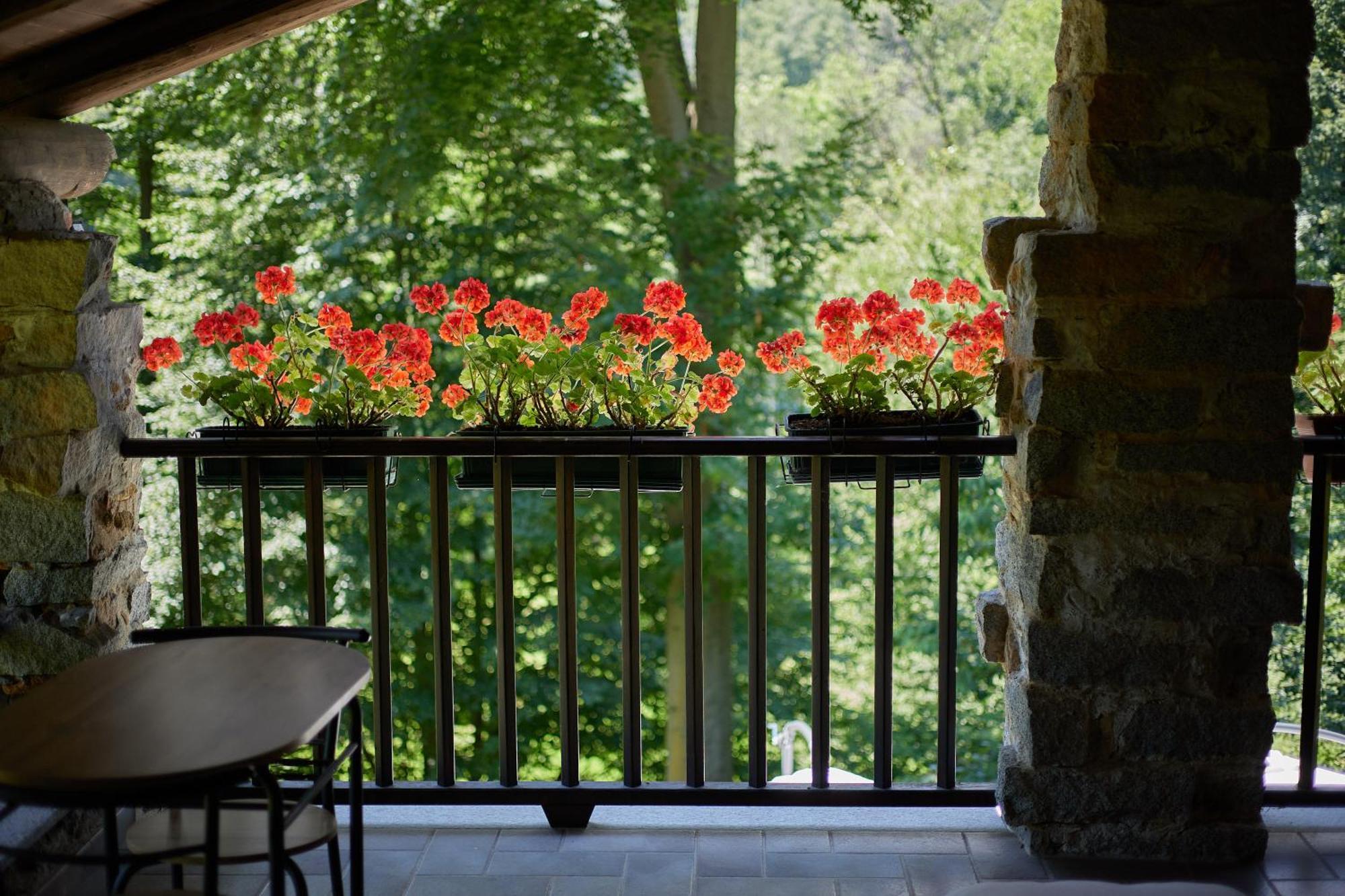 Villetta Con Giardino ⭑⭑⭑⭑⭑ - Wifi, Dogs Allowed Biella Luaran gambar